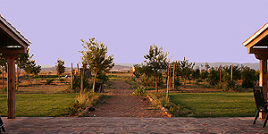 casa rural en caba&ntilde;eros - Huerta Caba&ntilde;eros